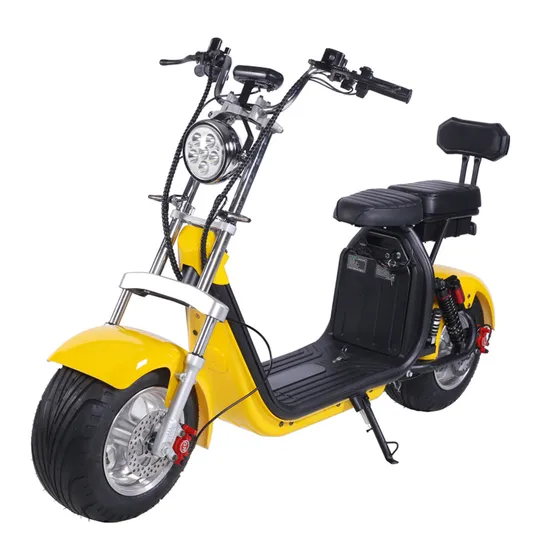 Citycoco 電動スクーター 2 ホイール ファットタイヤ付き 人気 2000W 60V CE 取り外し可能なリチウム電池 1500W 付き